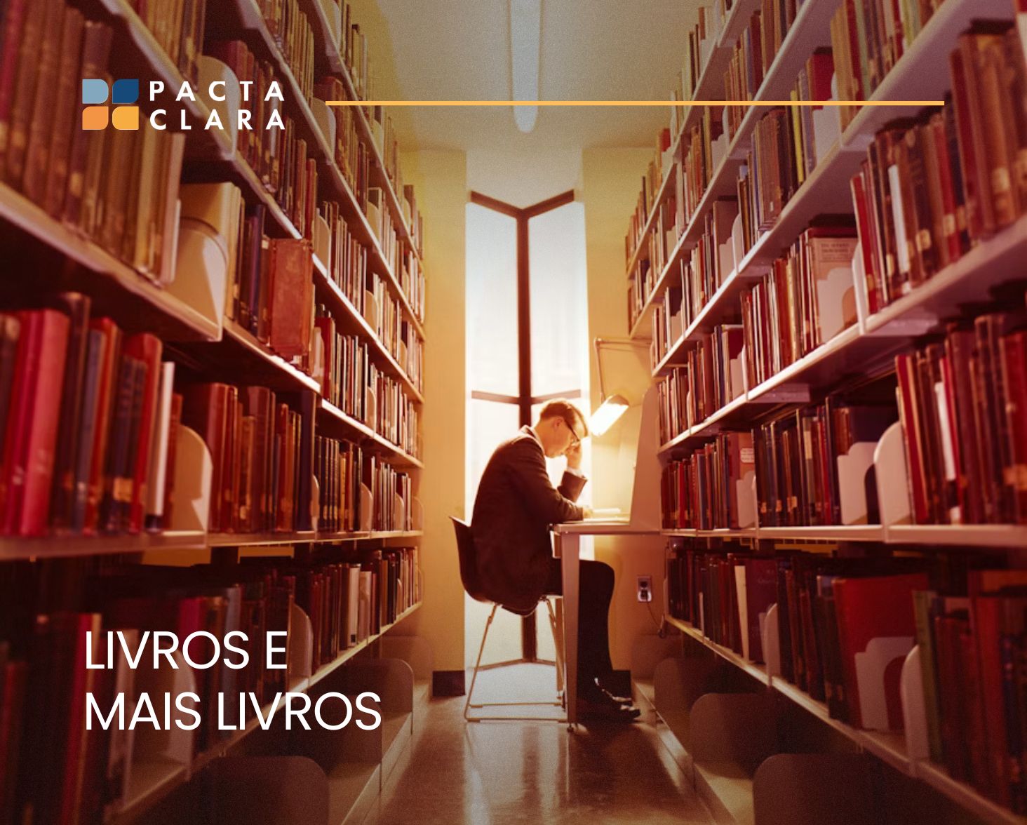 Leia mais sobre o artigo Livros e mais livros: todo mundo tem uma biblioteca!