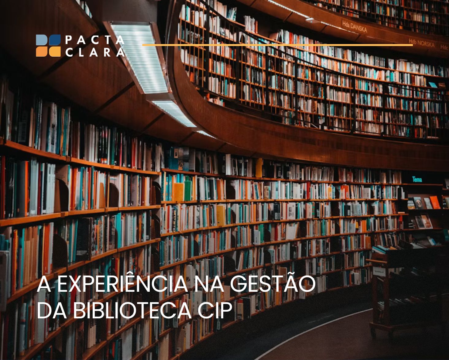Leia mais sobre o artigo A experiência na gestão da biblioteca CIP