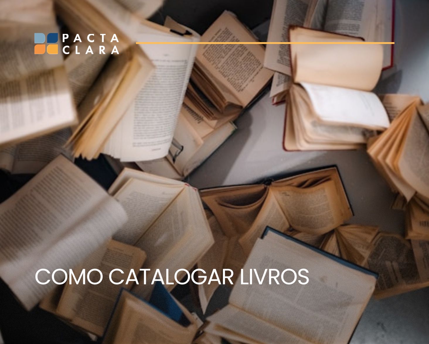Leia mais sobre o artigo Como catalogar livros