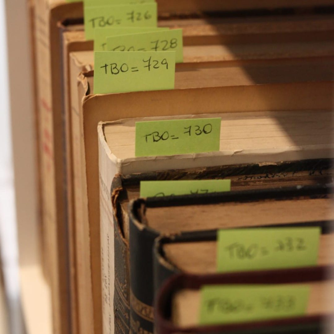 Biblioteca 1